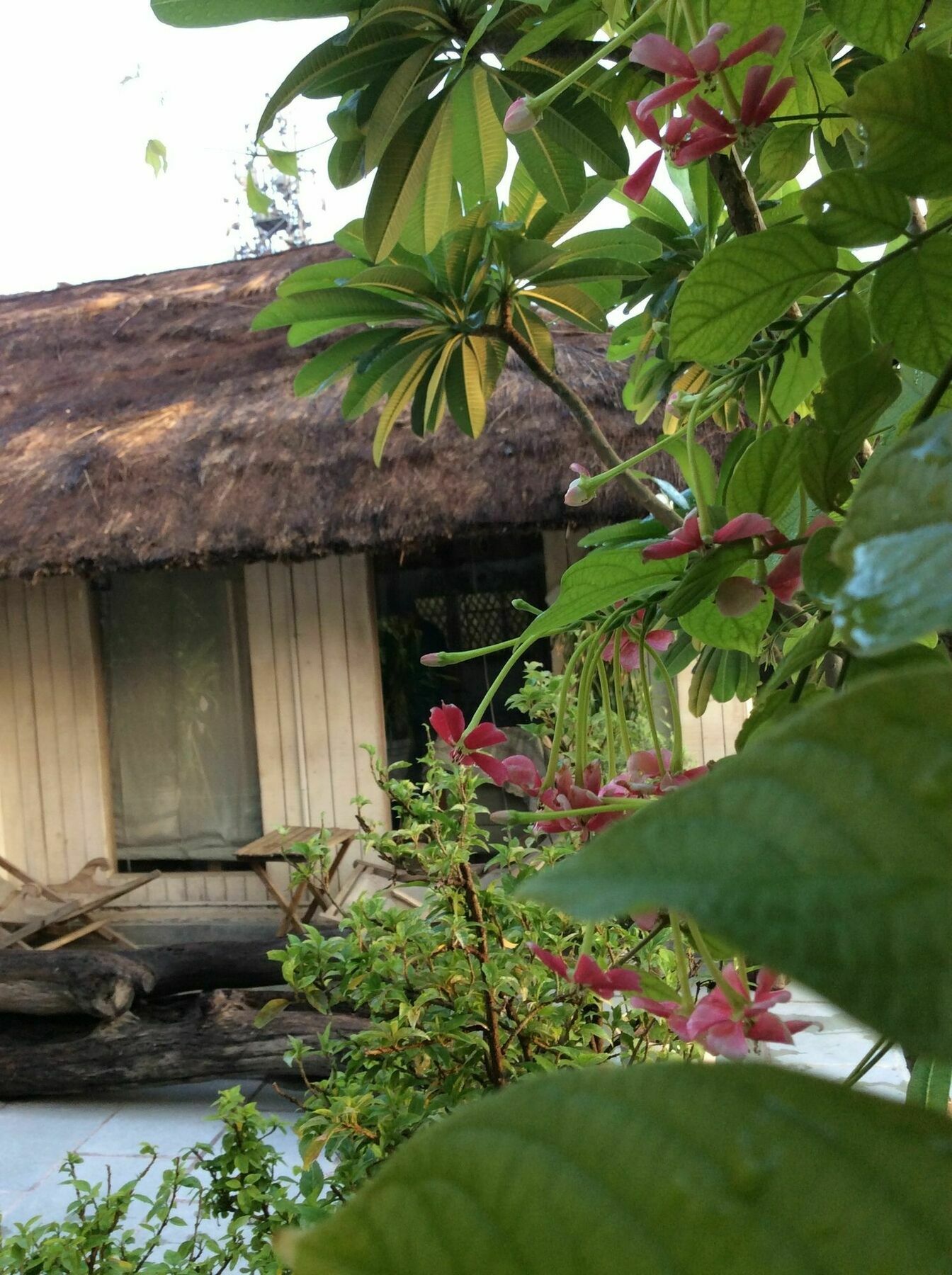 The Lazy Patio Homestay New Delhi Buitenkant foto